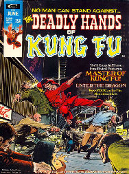 the deadly hands of kung fu